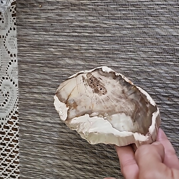 DUSKY PETRIFIED WOOD Slice, Stone Plate, Petrified Wood - Picture 3 of 9